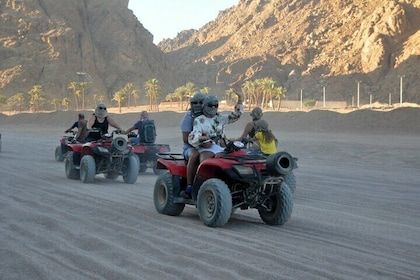 quad bike Quad or Buggy Safari Trip in Sinai Desert of Sharm El Sheikh