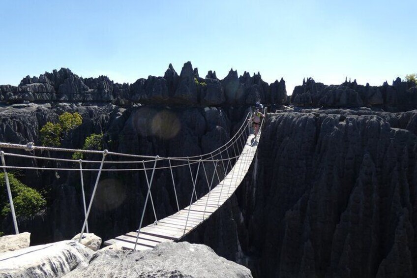 Tsingy-Baobab Avenue-Ranomafana-Andasibe