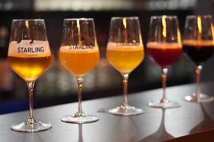 Local Craft Beer Tasting in Strasbourg