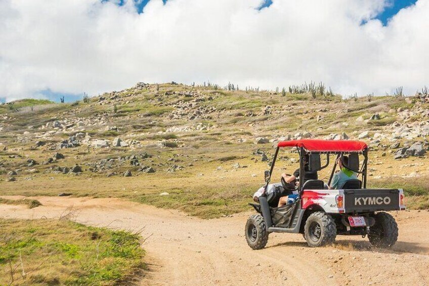 2-Seater UTV Island Tour in Aruba