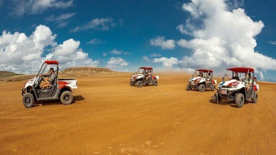 2-Seater UTV Island Tour in Aruba