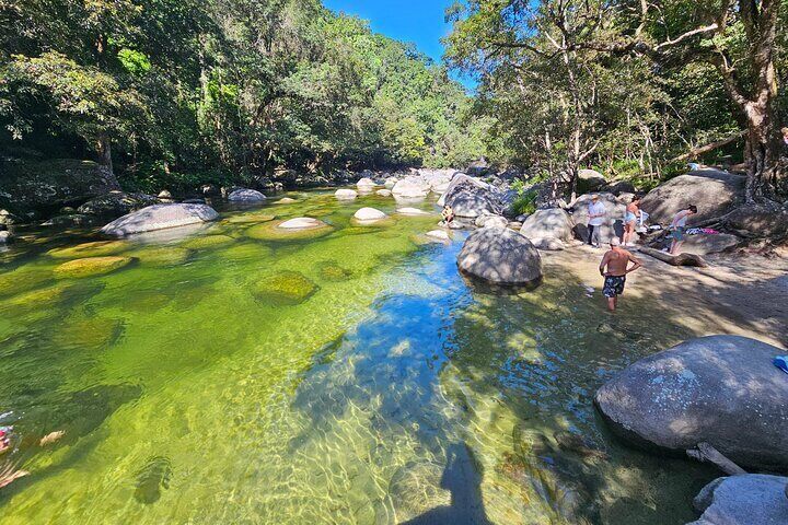 Daintree Rainforest, Mossman Gorge and Aboriginal Beach Day Tour