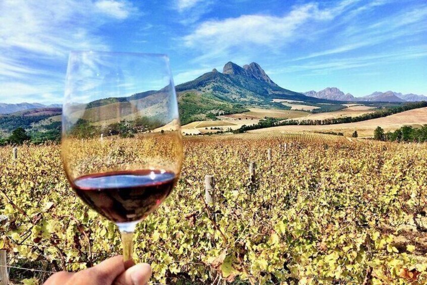 Private Full Day Wine Tour: Stellenbosch and Franschhoek & Paarl