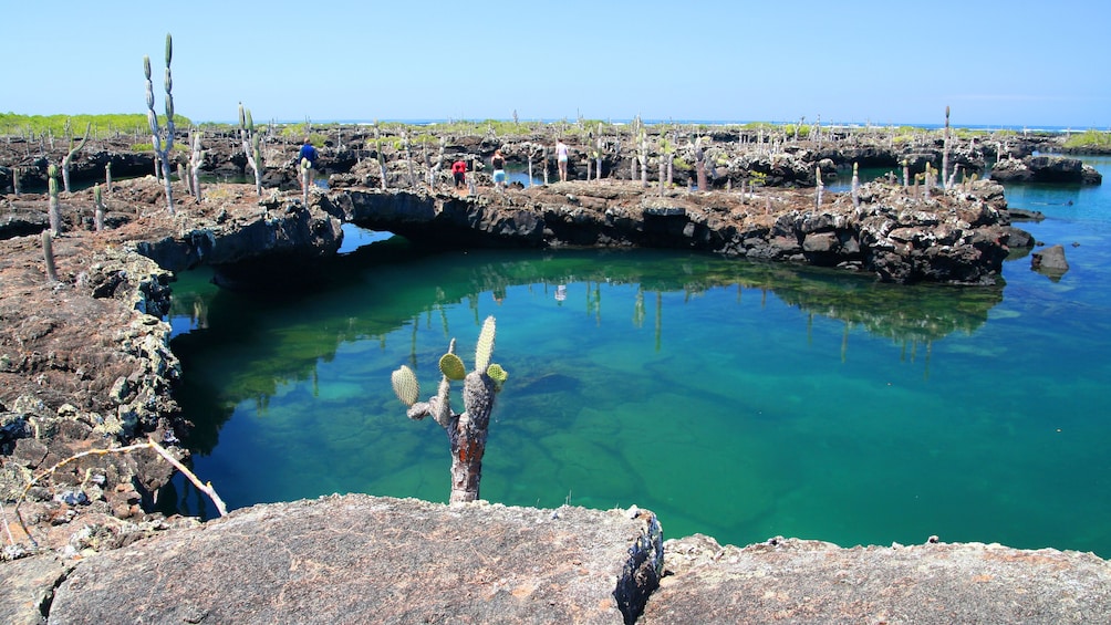 Lagoon in the Galapagos Islands