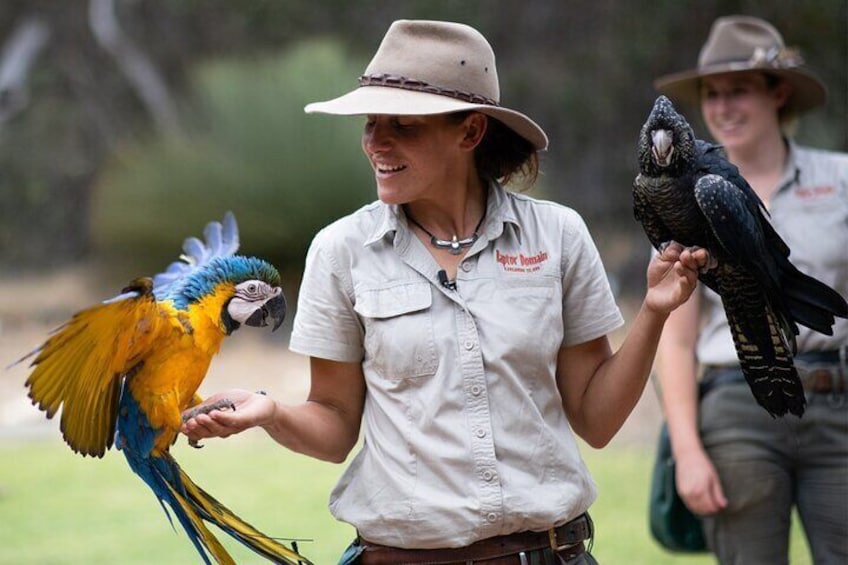 Kangaroo Island Iconic Sights and Wildlife Full-Day Tour