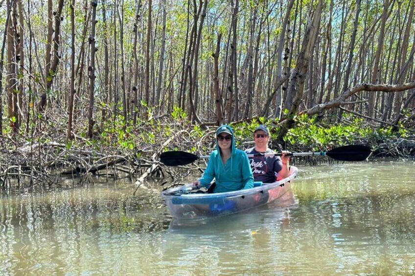 CLEAR Kayaks are used on the sunset tour