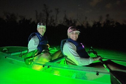 Clear Kayak Sunset & Light Tour - Bonita Springs / Ft Myers Beach