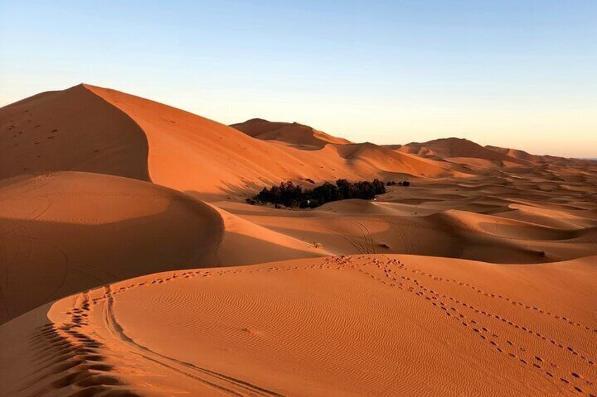 The dunes of Erg Chebbi (Merzouga) in the Saraha Desert