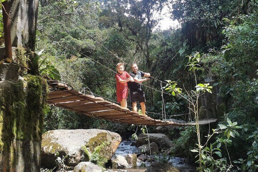 Half-Day Cocora Serenity Adventures 