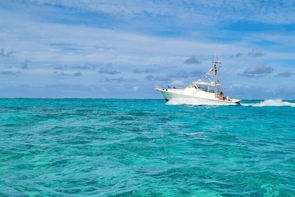Full Day Deep Sea Fishing Charter on "Angler Management"