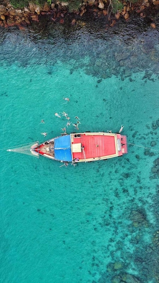  Angra dos Reis and Ilha Grande Boat Tour from Rio de Janeiro