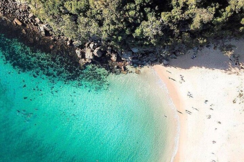 Shelly Beach, Manly