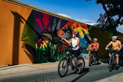 5-Hour Road to San Nicolas Culture Heritage E-Bike Aruba