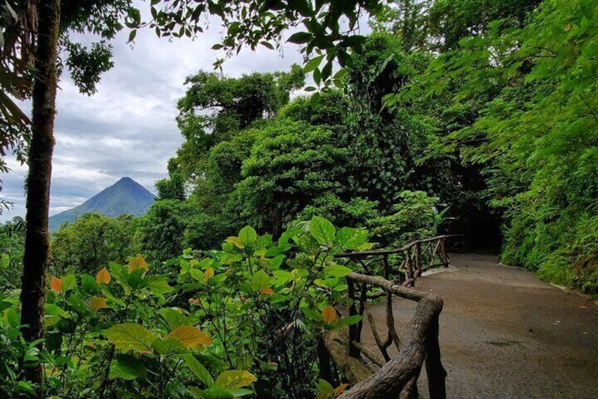 Arenal Full Day Tour