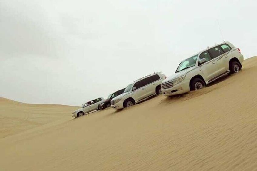 Doha City and Desert Safari Tours (Combo Tour)