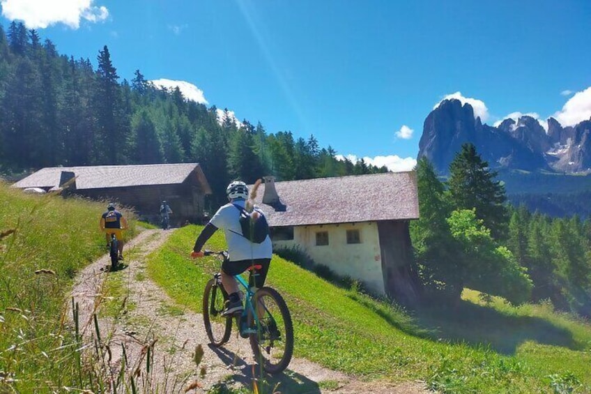 Tour in Val Gardena with visit to a craft brewery