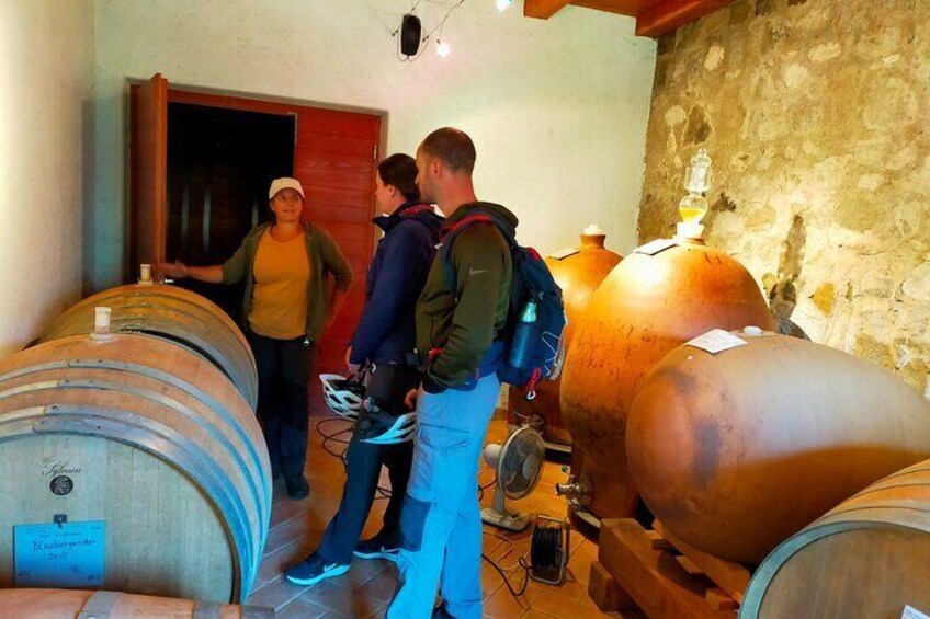 Private Ebike Tour to Discover Breweries and Winegrowers