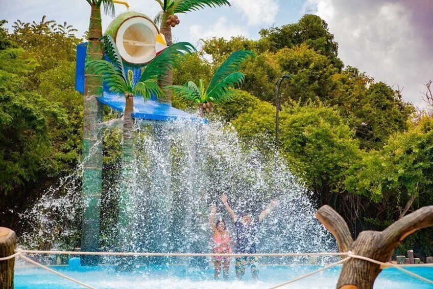 coconut splash