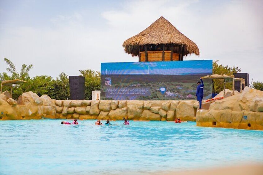 Wave pool with 8 different types