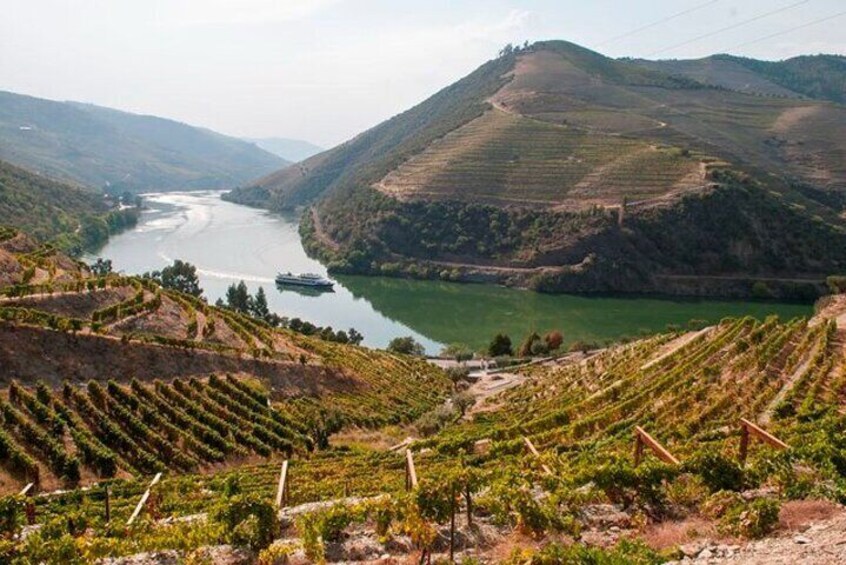 Douro Valley Private Tour, Boat, Cellars and Lunch with Chef