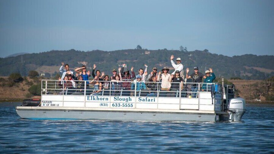 Step aboard our stable, USCG inspected, 27ft. pontoon boat, and embark on an unforgettable wildlife adventure!