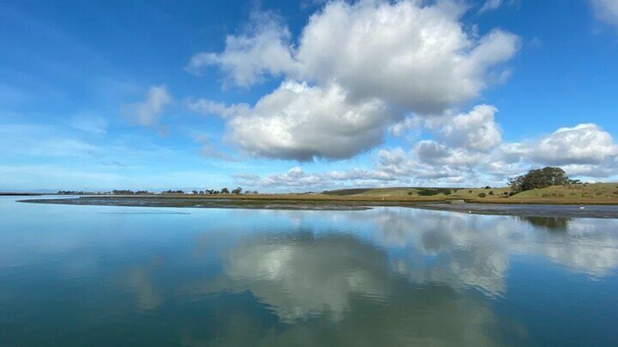 The Elkhorn Slough, California's second largest wetland, offers breathtaking scenic views.