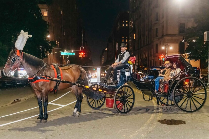 Picture 15 for Activity NYC MAGICAL NIGHT TIME RIDE Central Park/Rockefeller Center