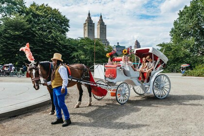 NYC MAGICAL NIGHT TIME RIDE เซ็นทรัลพาร์ค/ร็อคกี้เฟลเลอร์เซ็นเตอร์