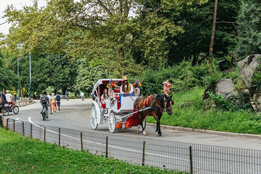 Picture 13 for Activity Cental Park NYC: Horse & Carriage Rides