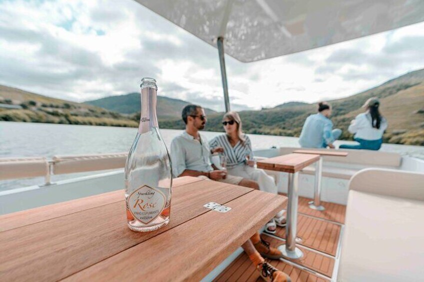 Private 1h Solar Boat Tour on the Douro River