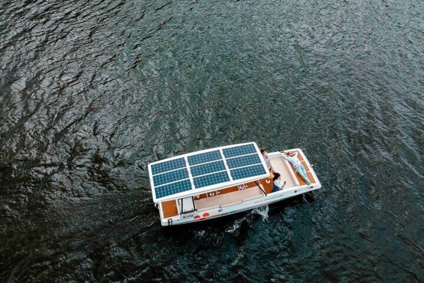 Private 1h Solar Boat Tour on the Douro River