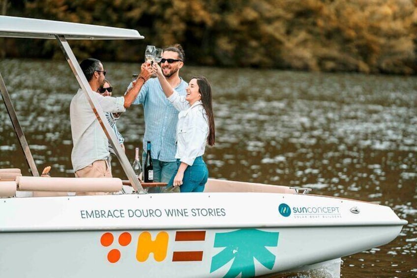 Private 1h Solar Boat Tour on the Douro River