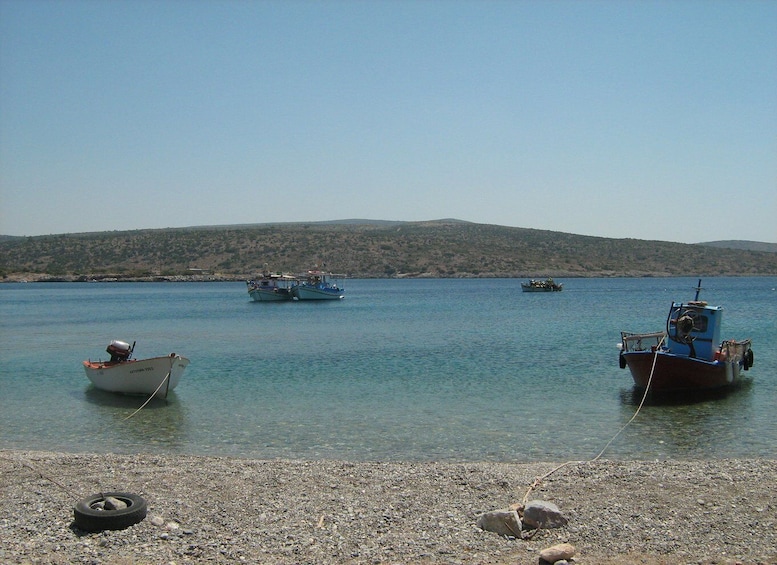 Picture 2 for Activity Chios: Half-Day Sightseeing Tour