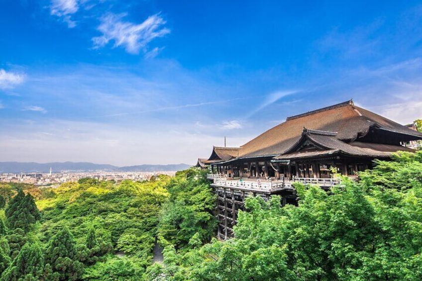 8 Hours Private Kyoto Tour from Osaka by Car