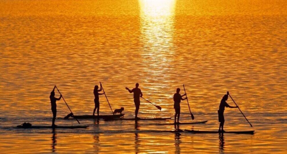 Picture 8 for Activity Gran Canaria: Stand-Up Paddle Lesson & Snorkeling Tour