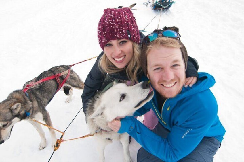 1.5 Hr - Winter Dog Sledding in Knik, Alaska