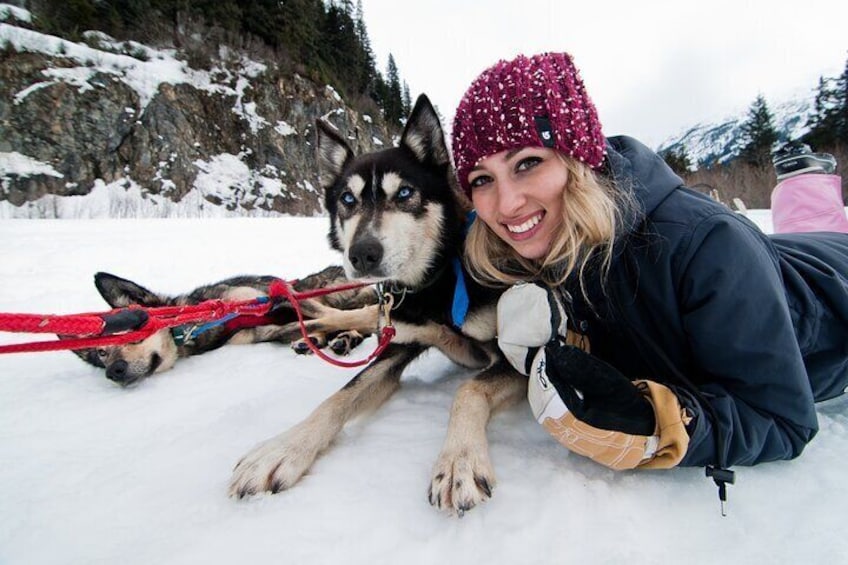 1.5 Hr - Winter Dog Sledding in Knik, Alaska