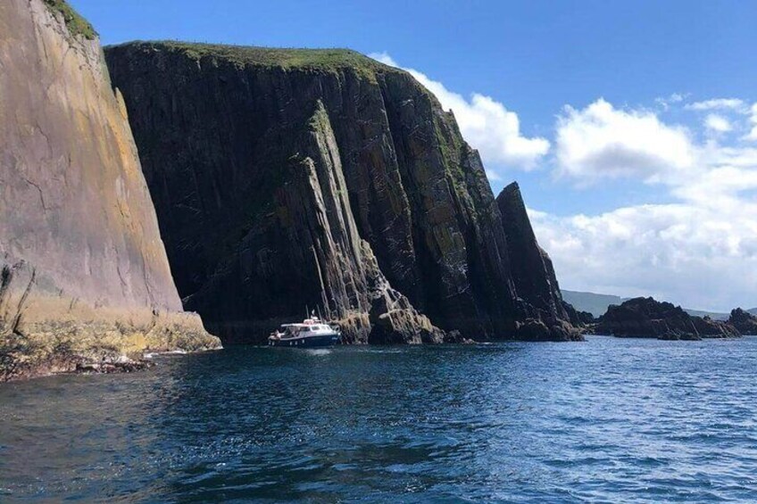 Dingle Bay Cliff Tour