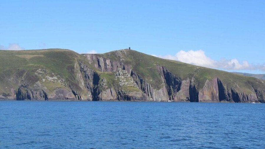 Dingle Bay Cliff Tour