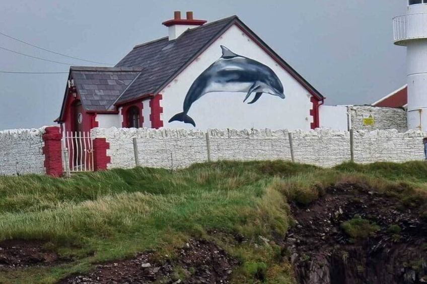 Dingle Bay Cliff Tour