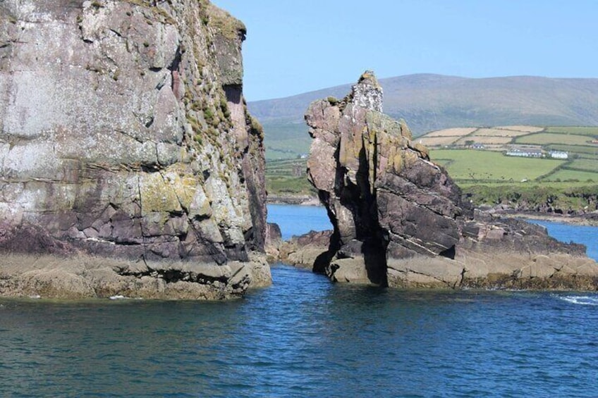 Dingle Bay Cliff Tour