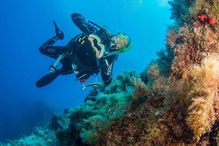 Be careful, once you start with it, you will fall in love with diving!