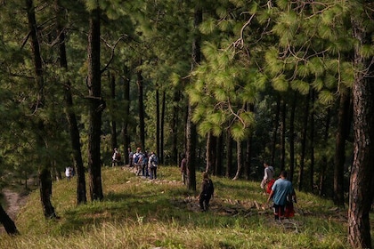 Half Day Hike to Hills and Waterfalls of Nagarkot in Nepal