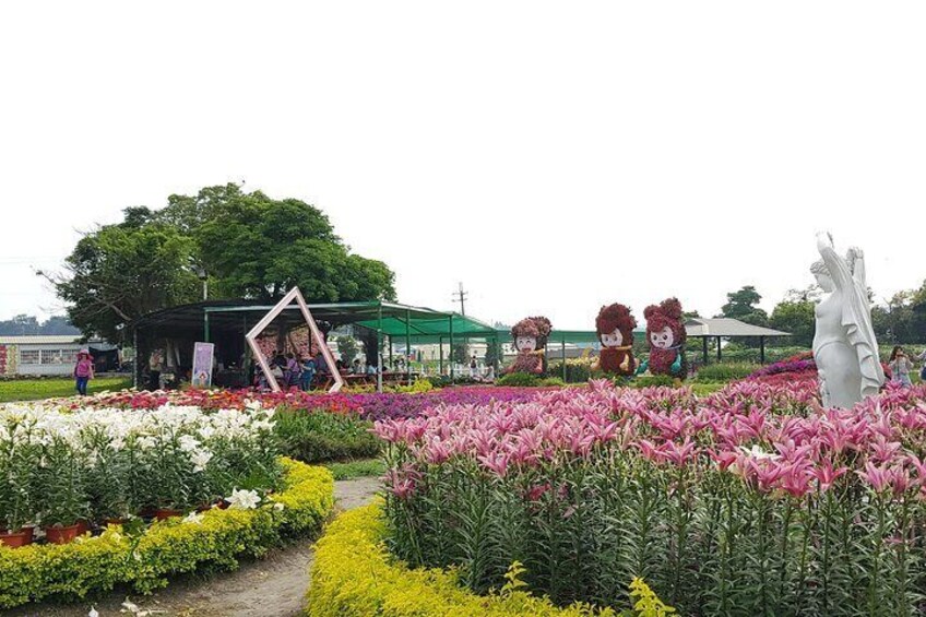 Private Day tour to Sun Moon Lake from Taipei