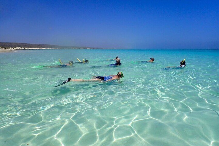 Ningaloo Reef Snorkel Adventure