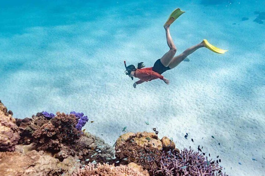 Ningaloo Reef Snorkel Adventure