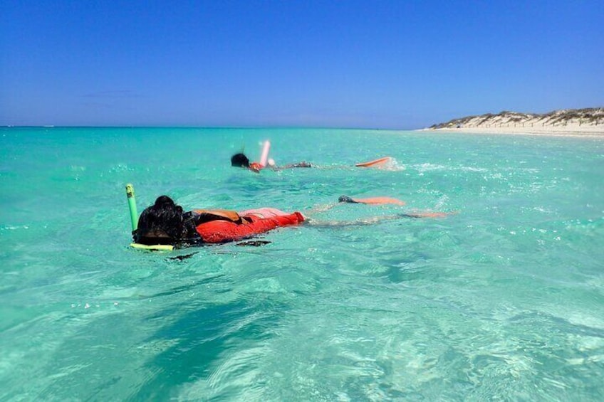 Ningaloo Reef Snorkel Adventure