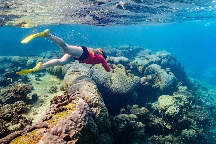 Ningaloo Reef Snorkel Adventure