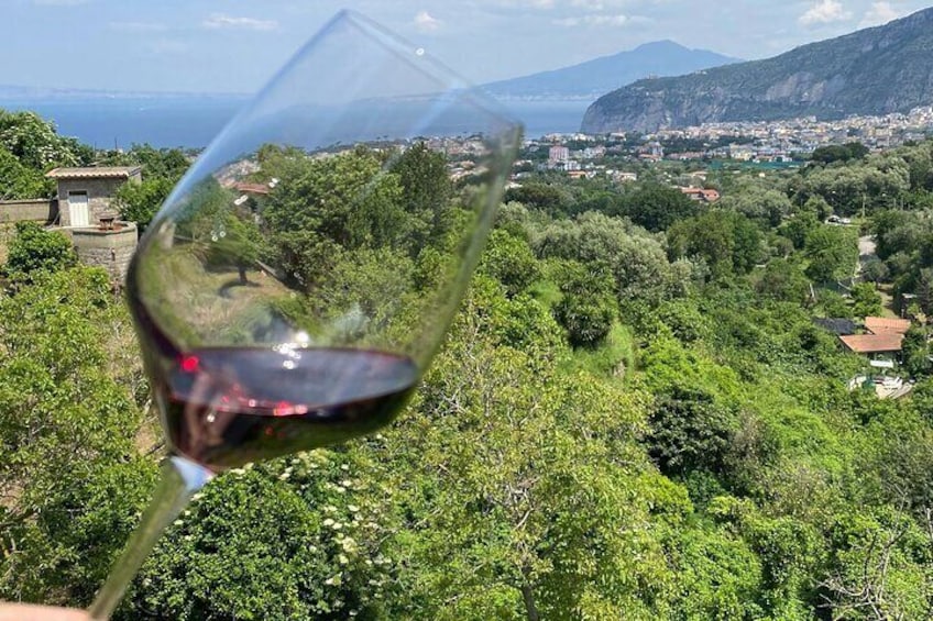 5 Wine Tastings with Typical Products in Sorrento Coast