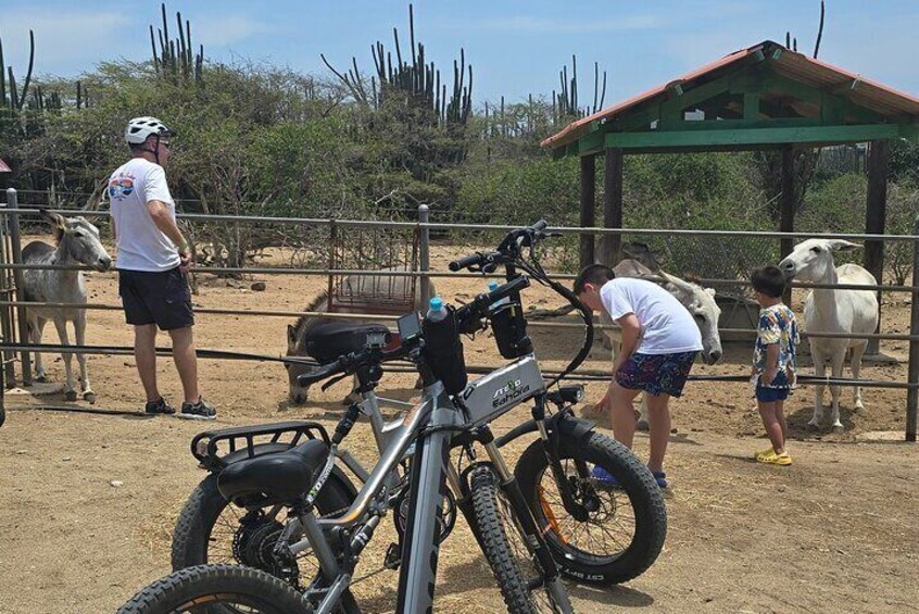 The Spanish Lagoon-Gold Mills & Nature Heritage E-Bike Aruba